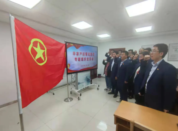天行官方团委召开2021年度专题组织生活会(图5)