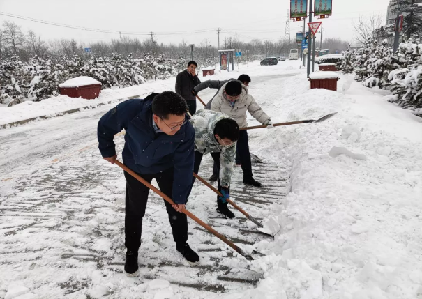 天行官方组织全体员工扫雪除冰(图2)